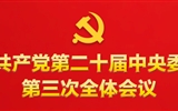 中共中央關(guān)于進(jìn)一步全面深化改革 推進(jìn)中國式現(xiàn)代化的決定